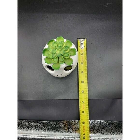 Disney Nightmare Before Christmas Jack Skellington Halloween Succulent Fauxplant - Picture 2 of 5